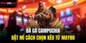 đá gà Campuchia