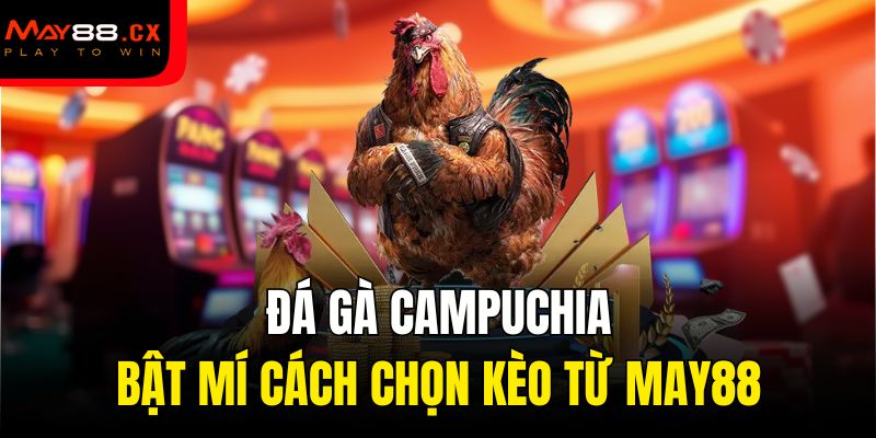 đá gà Campuchia